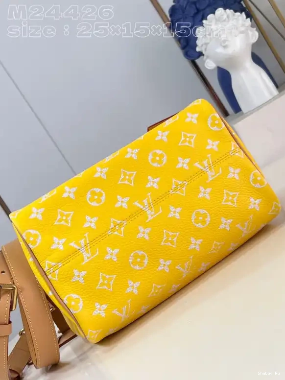 Louis Vuitton SPEEDY 25 0613
